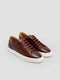 Ivan Sneakers (Wine)